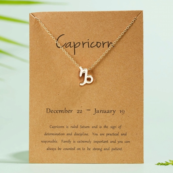 Zodiac Charm Pendant Necklace CAPRICORN - Picture 2 of 2